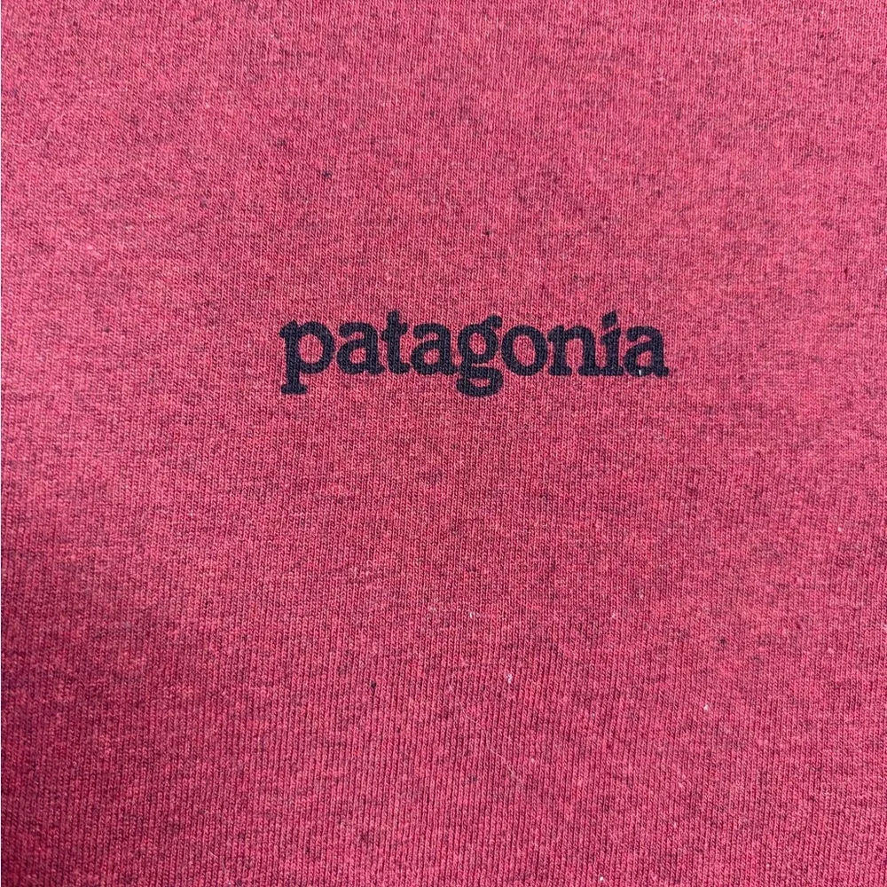 Patagonia red crewneck tee with grey trim - Picture 3 of 7